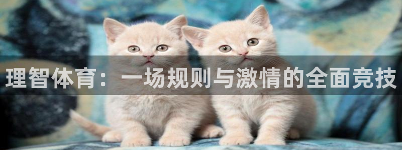 哈哈体育：理智体育：一场规则与激情的全面竞技