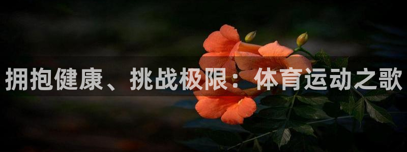 哈哈体育：拥抱健康、挑战极限：体育运动之歌