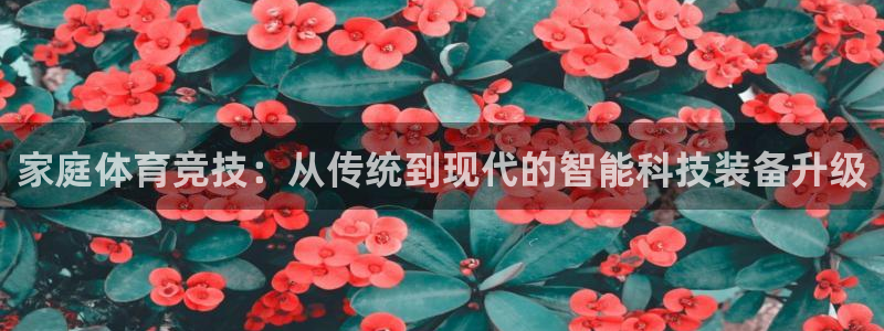 哈哈体育下载：家庭体育竞技：从传统到现代的智能科技装备升级