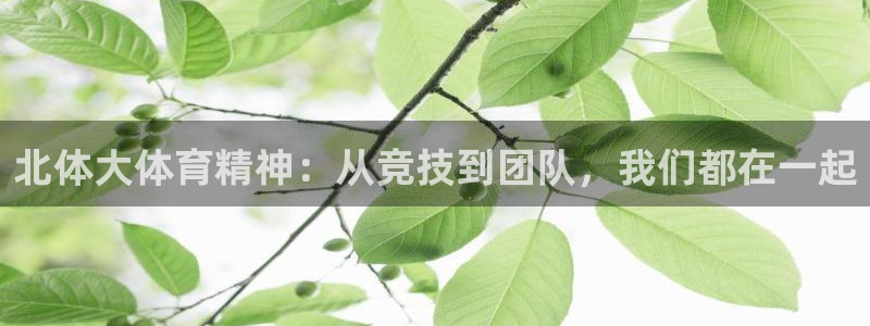 哈哈体育：北体大体育精神：从竞技到团队，我们都在一起
