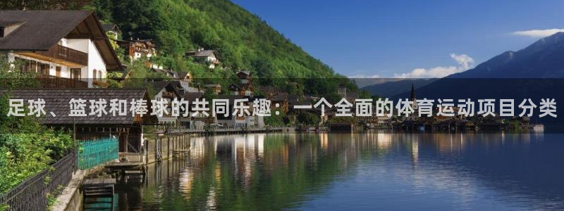 哈哈体育：足球、篮球和棒球的共同乐趣：一个全面的体育运动项目分类