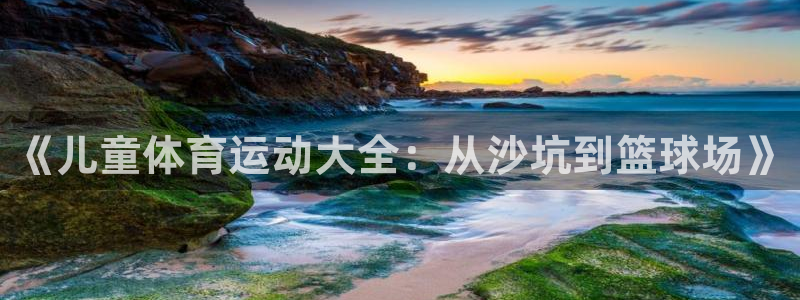 哈哈体育下载：《儿童体育运动大全：从沙坑到篮球场》