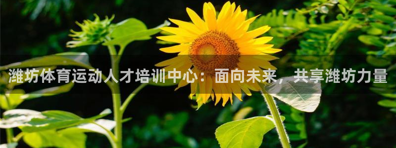 哈哈体育：潍坊体育运动人才培训中心：面向未来，共享潍坊力量